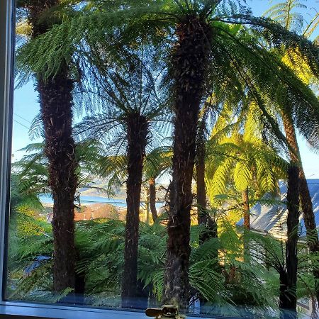 Koru Flat Apartment Dunedin Bagian luar foto