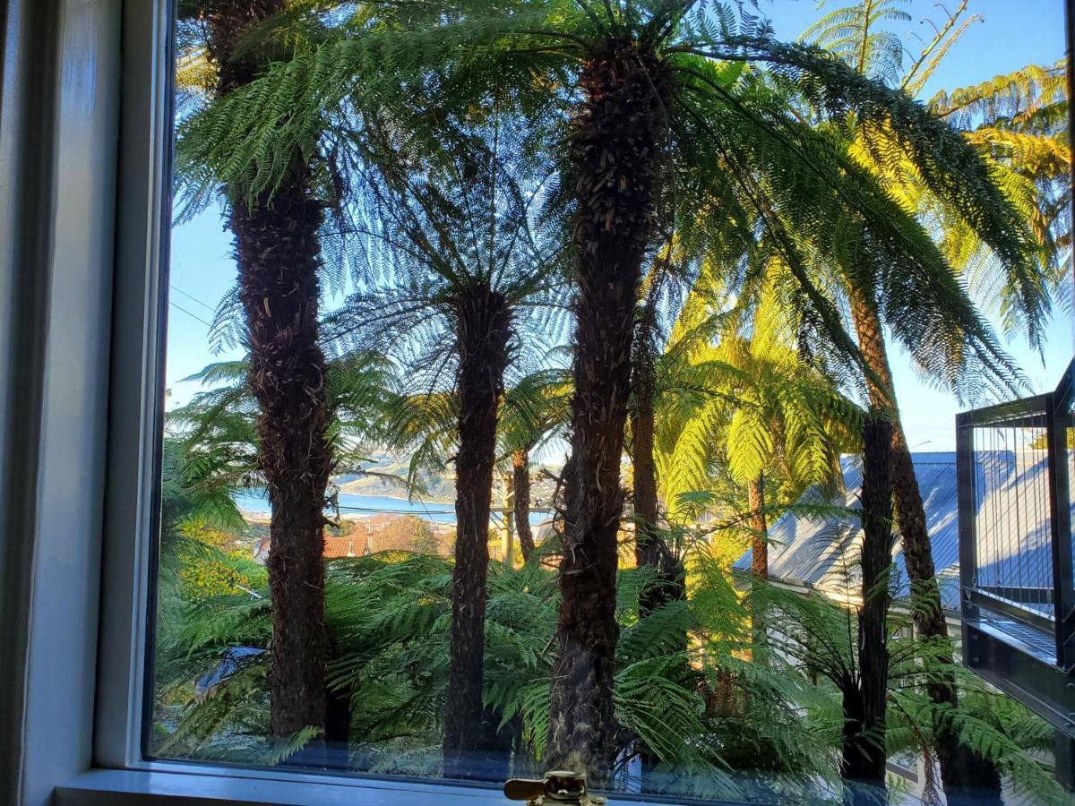 Koru Flat Apartment Dunedin Bagian luar foto