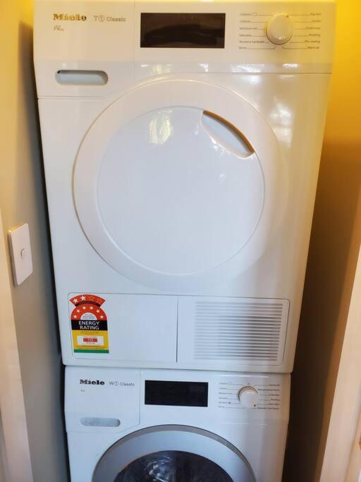 Koru Flat Apartment Dunedin Bagian luar foto