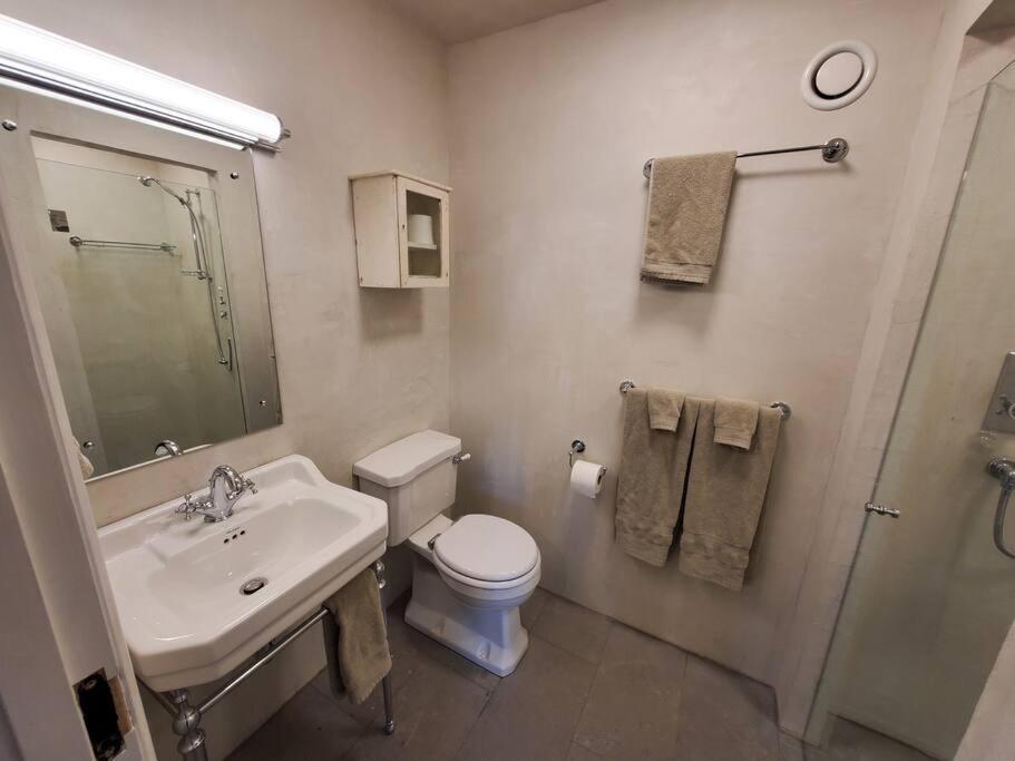 Koru Flat Apartment Dunedin Bagian luar foto